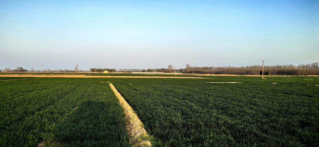 田觅蜜个人资料简介 田觅蜜个人资料简介