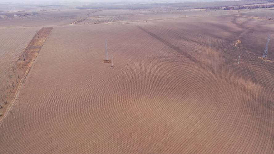 田觅蜜个人资料简介 田觅蜜个人资料简介